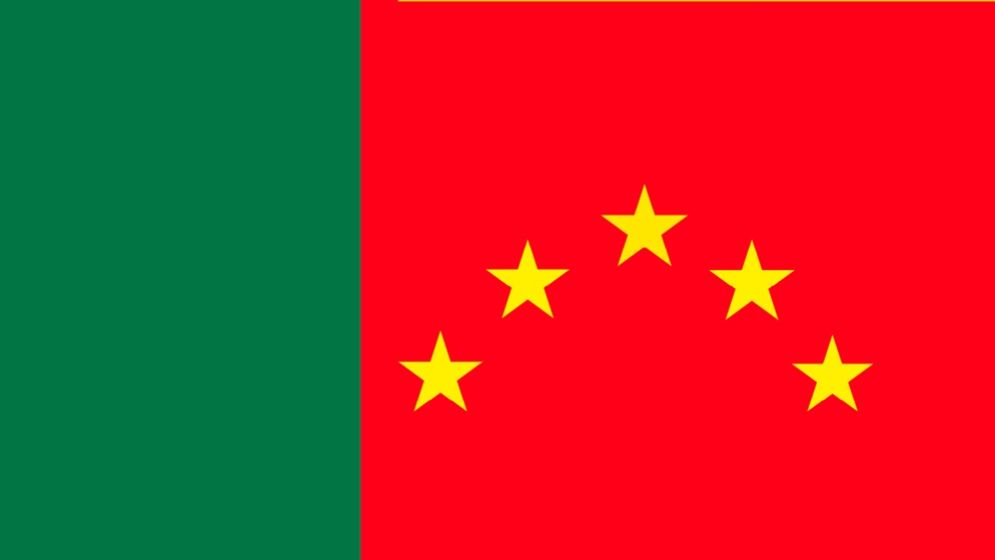 যেভাবে প্রতিষ্ঠিত হয় ন্যাপ