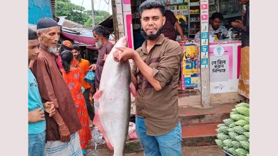 পায়রা নদীতে বড়শিতে উঠল ১১ কেজির পাঙ্গাস