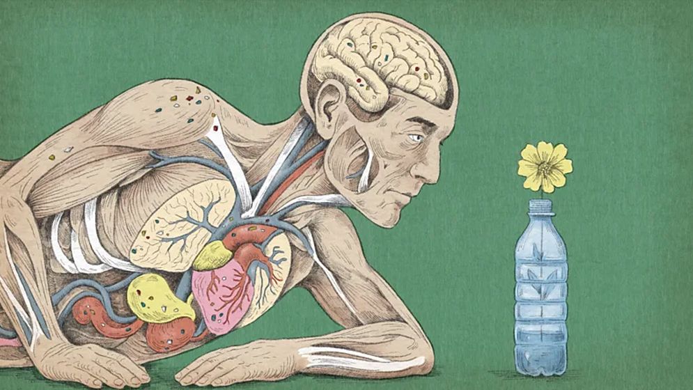 মাইক্রোপ্লাস্টিক: মানবদেহে কী প্রভাব ফেলছে, কারা বেশি ঝুঁকিতে?