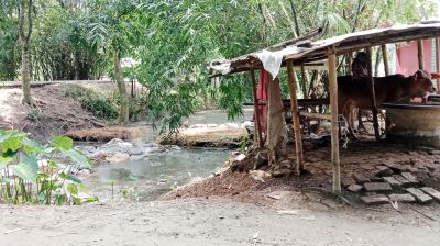 সংগঠনের জমি বিক্রি করে অর্থ আত্মসাৎ