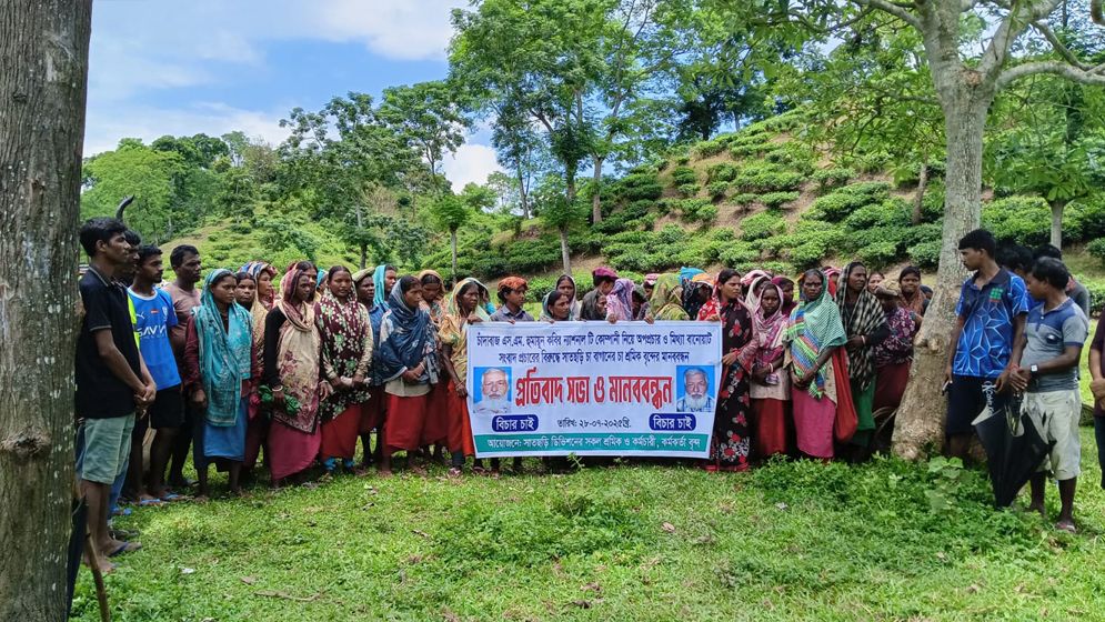 চা বাগান নিয়ে ষড়যন্ত্রের প্রতিবাদে চুনারুঘাটে মানববন্ধন