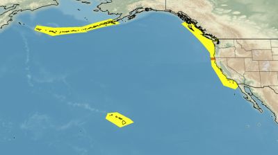 জাপান পার হয়ে যুক্তরাষ্ট্রে সুনামির আঘাত