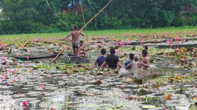 শাপলা বিলে নৌকা ডুবে প্রাণ গেল দুই বন্ধুর