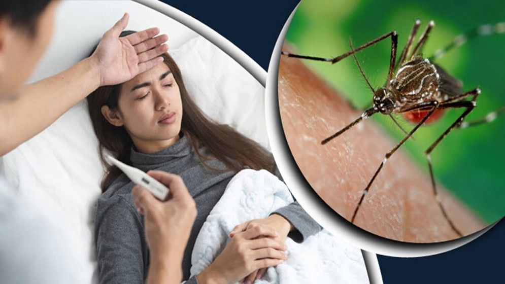 ডেঙ্গু ও চিকুনগুনিয়া কি একসঙ্গে হতে পারে