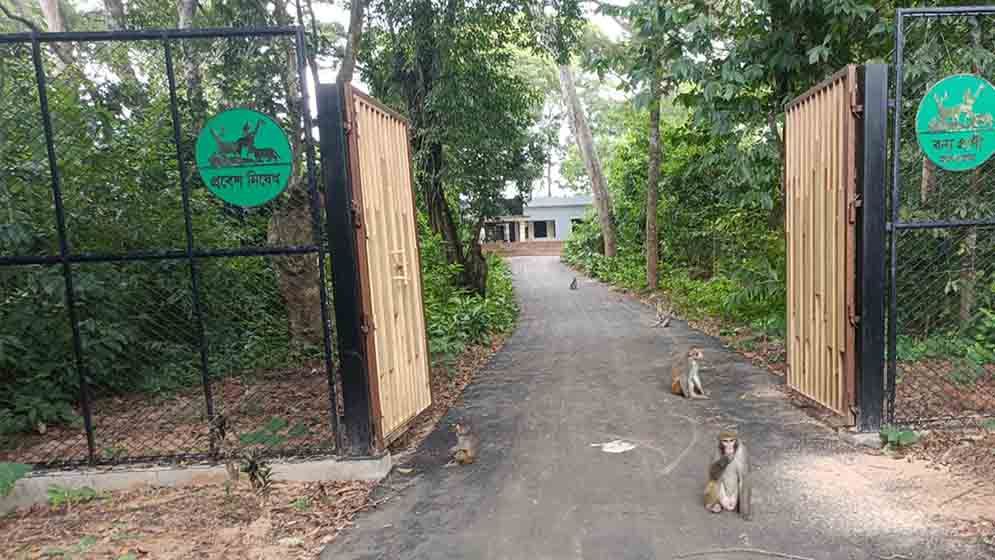 ডুলাহাজারা সাফারি পার্কের চিকিৎসকের বিরুদ্ধে লিখিত অভিযোগ