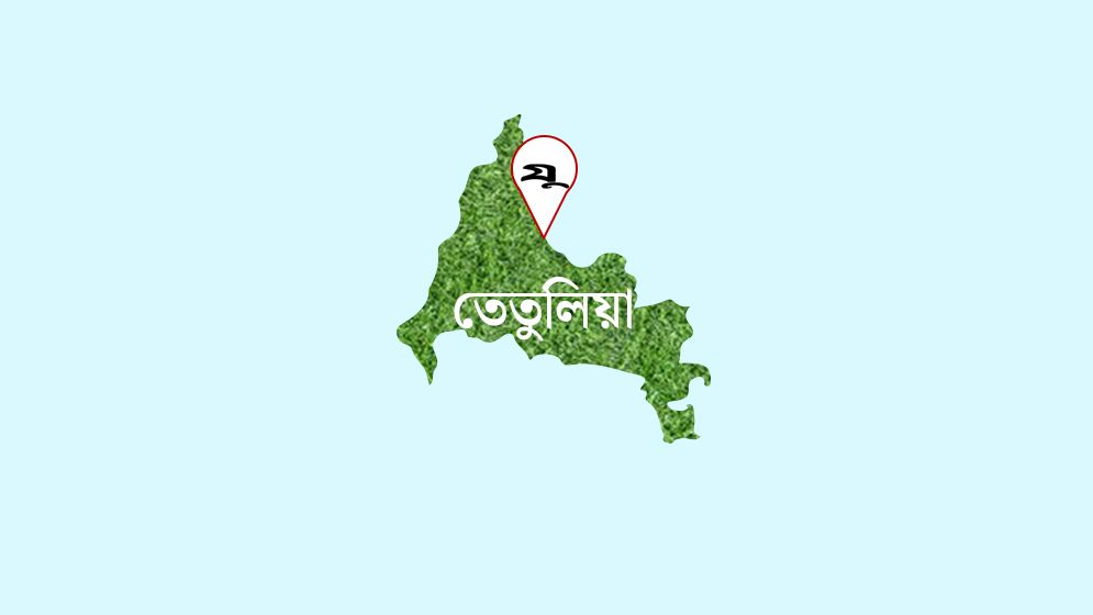 পঞ্চগড়ে তরুণীকে হস্তান্তর, ৪ জনকে পুশইন
