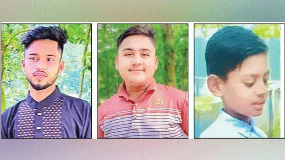 উপার্জনক্ষমদের হারিয়ে হতাশায় দেবিদ্বারের তিন শহীদ পরিবার