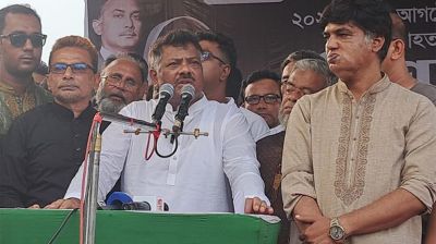 গণ-অভ্যুত্থানের কারণে স্বাধীনভাবে কথা বলতে-সভা করতে পারছি: দুলু