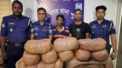 বিজয়নগরে মাদকের নিরাপদ ট্রানজিট পয়েন্ট, ছড়িয়ে পড়ছে দেশের নানা প্রান্তে