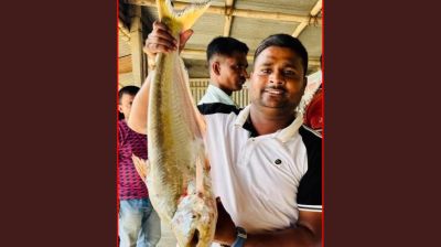 পদ্মায় ধরা পড়ল ৯,১৮০ টাকা দামের বড় ঢাই মাছ