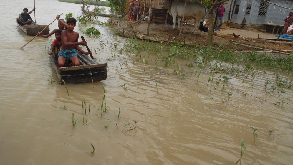 পানিবন্দী পদ্মার চরের মানুষ, ঘরহারা শতাধিক পরিবার