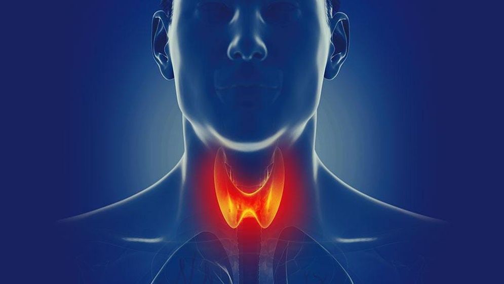 হাইপোথাইরয়েডিজম রোগী যেভাবে স্বাভাবিক ও কর্মময় থাকবেন