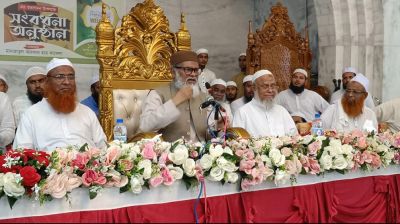 ‘আইনশৃঙ্খলা-অর্থনীতি ভালো, ফেব্রুয়ারিতে সুন্দর নির্বাচন করতে পারব’