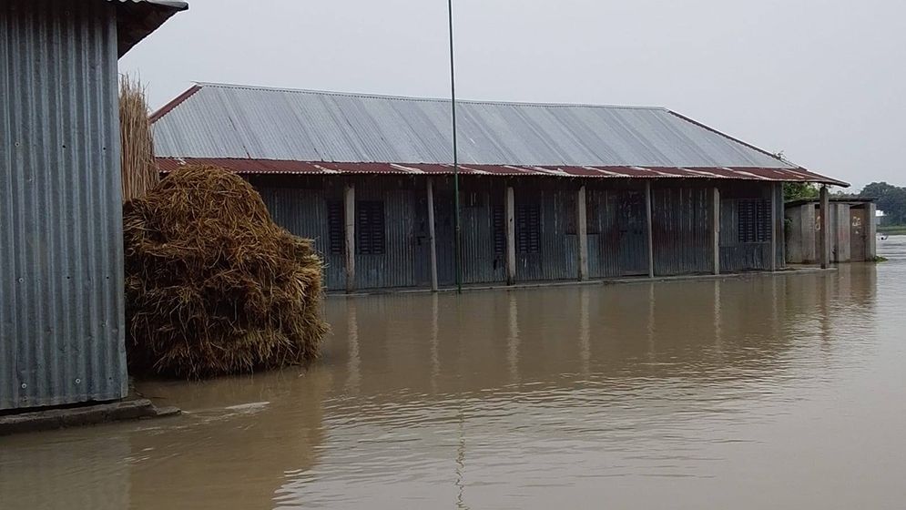 পদ্মার চরের বাড়ির উঠান দিয়ে প্রবাহিত হচ্ছে পানি