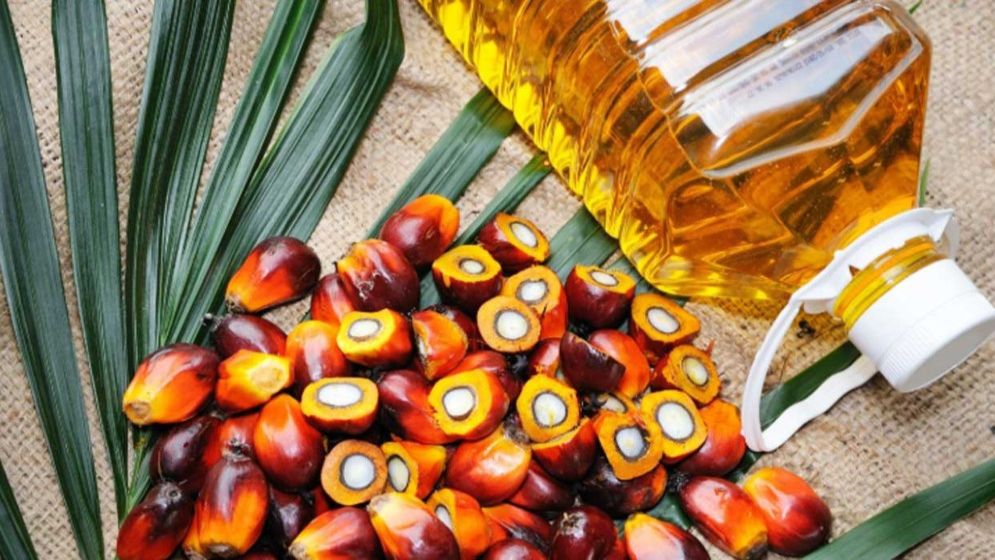 Germiona jinsiy sarguzasht