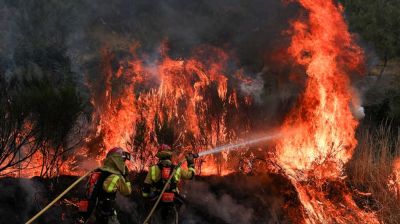ইউরোপে ভয়াবহ দাবানল ও তাপপ্রবাহে জনজীবন বিপর্যস্ত, নিহত ৩