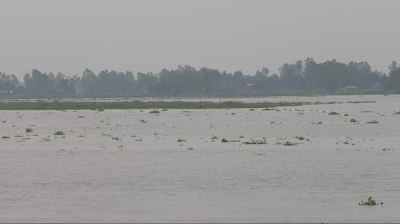 দুধকুমারের পানি বিপৎসীমার উপরে, নিম্নাঞ্চল প্লাবিত