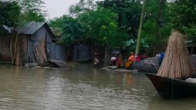 নাটোরে বাড়ছে পদ্মার পানি, তলিয়ে গেছে চরাঞ্চল