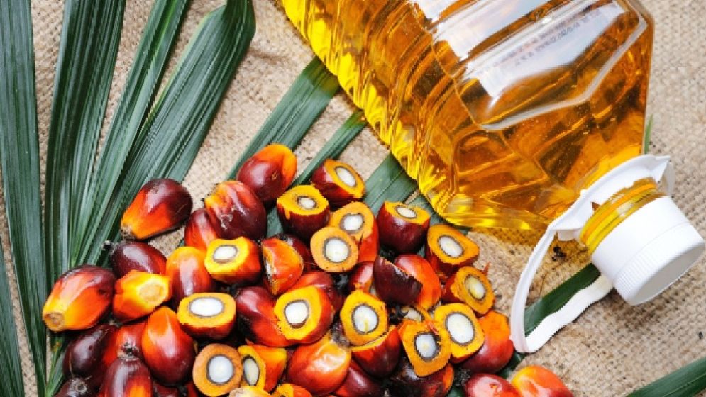 পাম অয়েল কতটা স্বাস্থ্যকর?