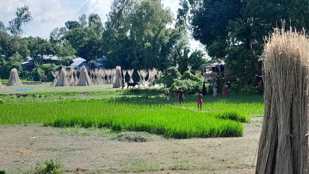 ছবি: যুগান্তর