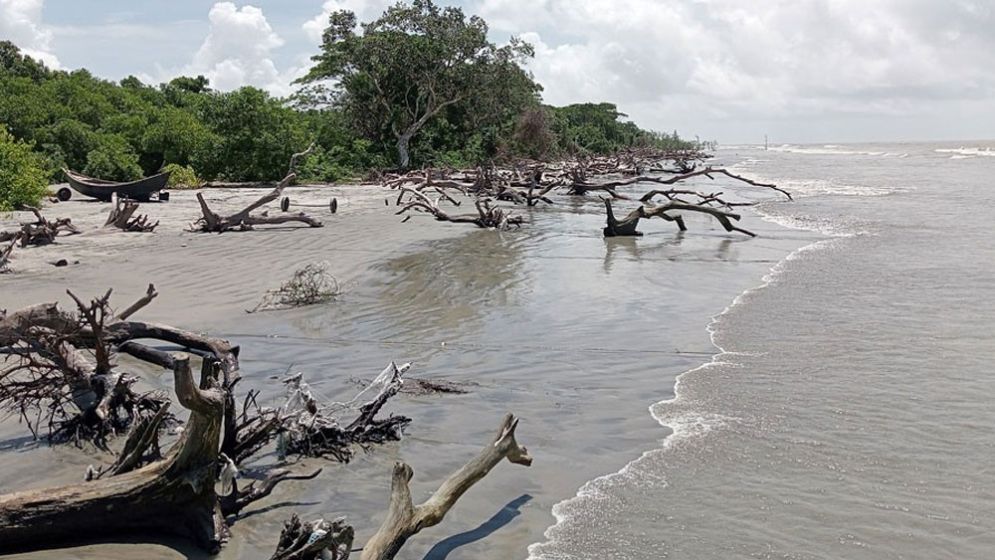 এক দিনের ব্যবধানে সৈকতে আবার মৃত ডলফিন