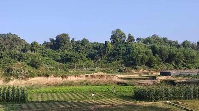 নাইক্ষ্যংছড়ি সীমান্তে গোলাগুলির শব্দ, আতঙ্কে স্থানীয়রা