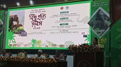 হাতি সংরক্ষণে আবাসস্থল রক্ষার আহবান উপদেষ্টার