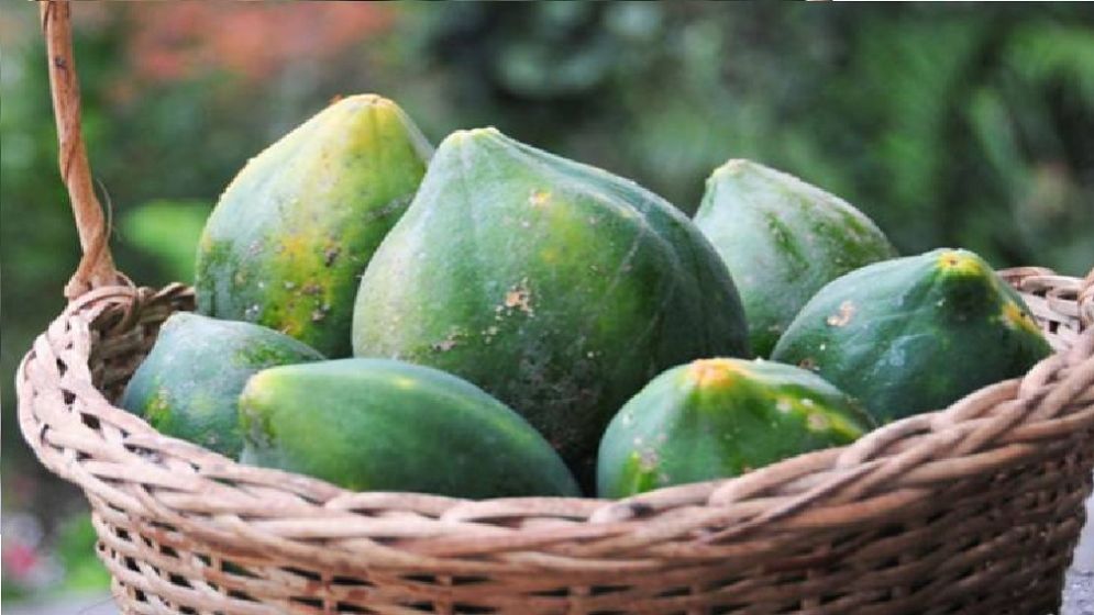 কিডনিতে পাথর হলে এড়িয়ে চলুন পেঁপে