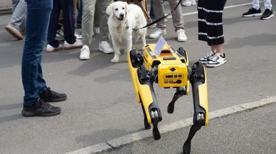 মশা তাড়াতে রোবট কুকুর