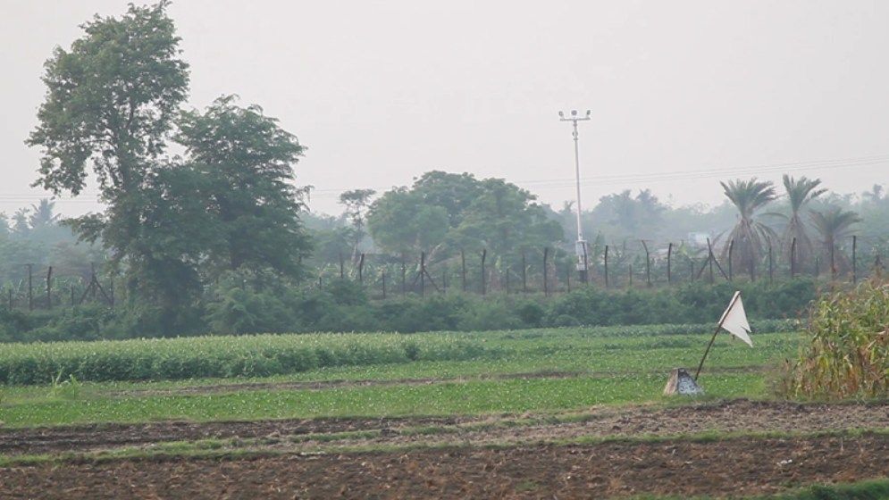 মেহেরপুর সীমান্তে এক বাংলাদেশিকে ফেরত দিল বিএসএফ