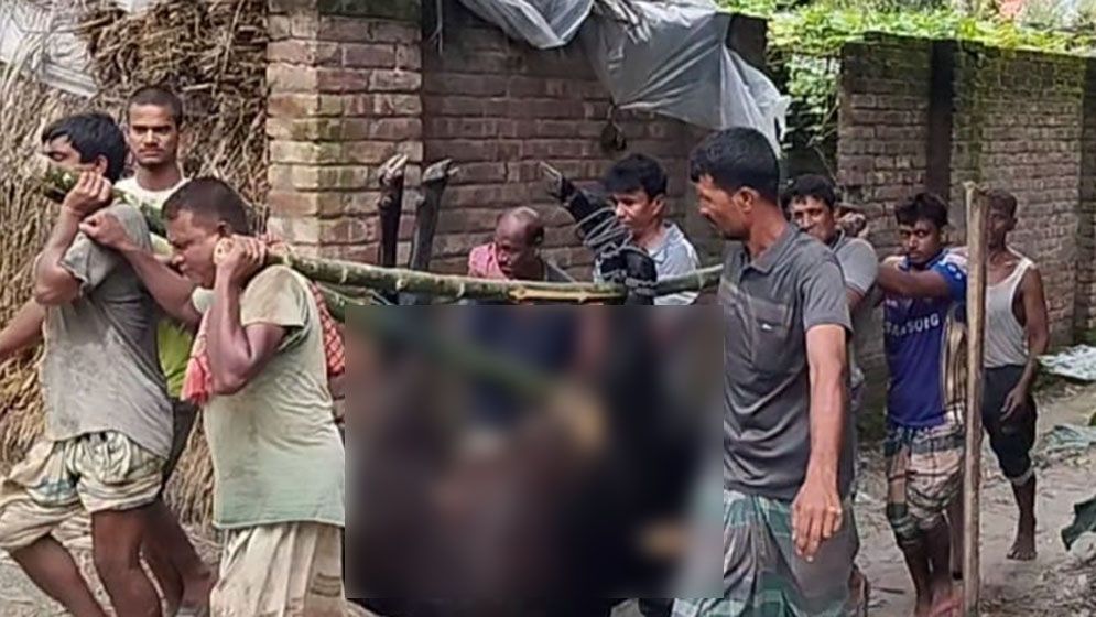 থানায় অভিযোগের পর গরুর ময়নাতদন্ত, নমুনা গেল ঢাকায়