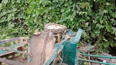 মাদরাসাপড়ুয়া নাতিকে দেখতে এসে প্রাণ গেল দাদির