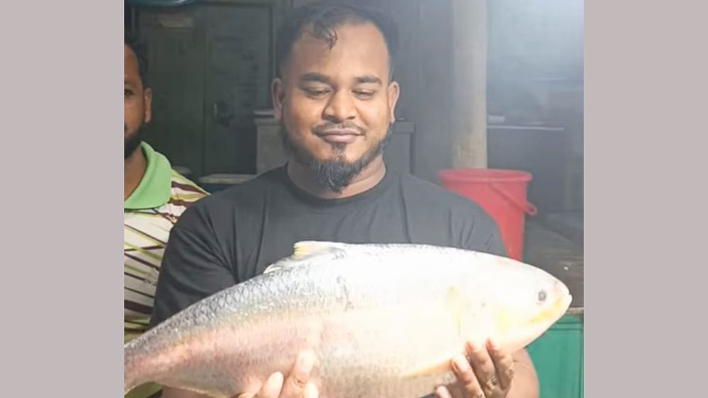 ইলিশের মণ দুই লাখ ২০ হাজার টাকা