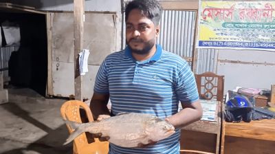 এক ইলিশ ৬ হাজার টাকায় বিক্রি