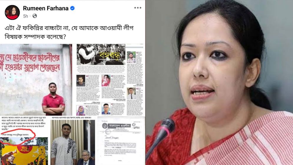 হাসনাতকে ‘ফকিন্নির বাচ্চা’ বলে যা শেয়ার করলেন রুমিন ফারহানা