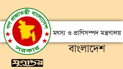 বাংলাদেশ মাংস উৎপাদনে স্বয়ংসম্পূর্ণ, আমদানির খবর ভিত্তিহীন