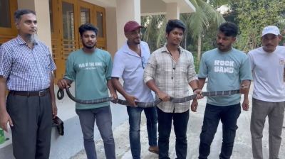 খাগড়াছড়িতে বিলুপ্ত প্রজাতির কিং কোবরা উদ্ধার