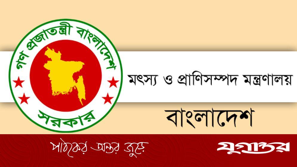 বাংলাদেশ মাংস উৎপাদনে স্বয়ংসম্পূর্ণ, আমদানির খবর ভিত্তিহীন