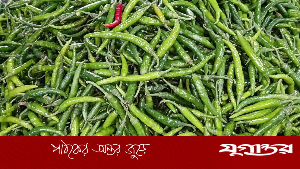 কমেছে কাঁচামরিচের দাম
