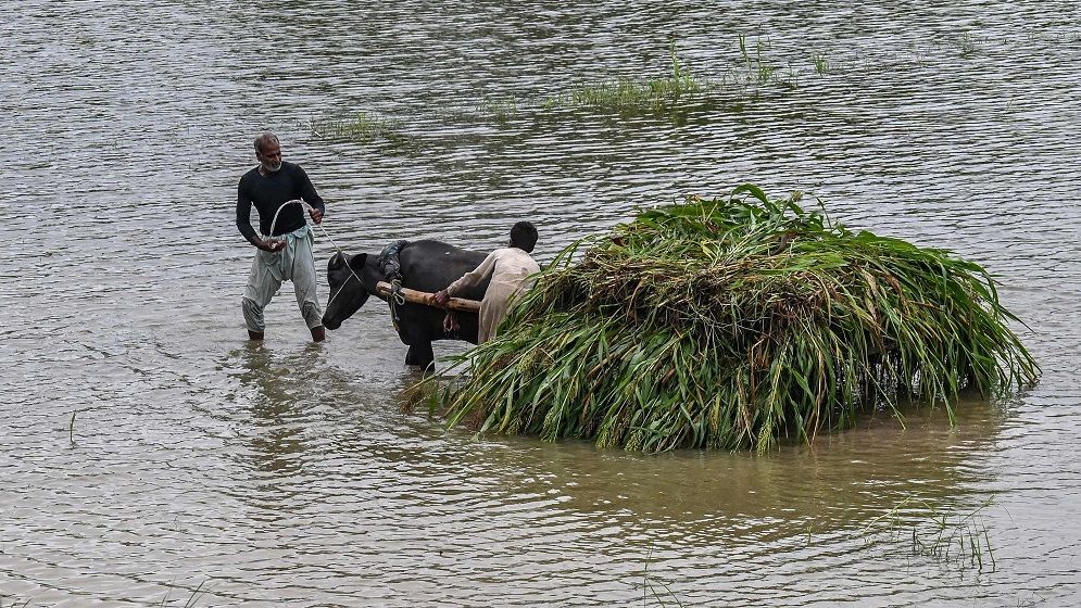 বন্যা মোকাবিলায় পাকিস্তানের পাঞ্জাবে সেনা মোতায়েন