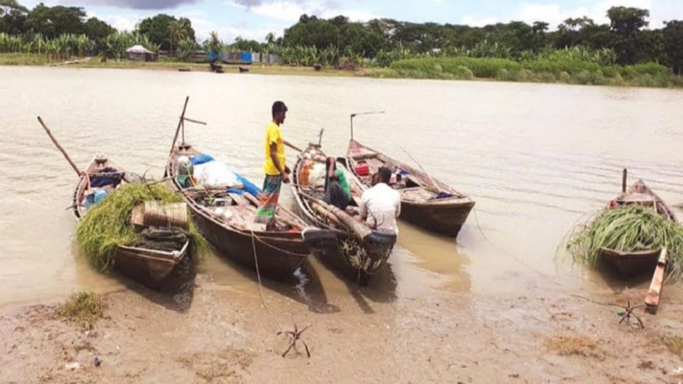 ভরা মৌসুমেও শরীয়তপুরে দেখা মিলছে না ইলিশের