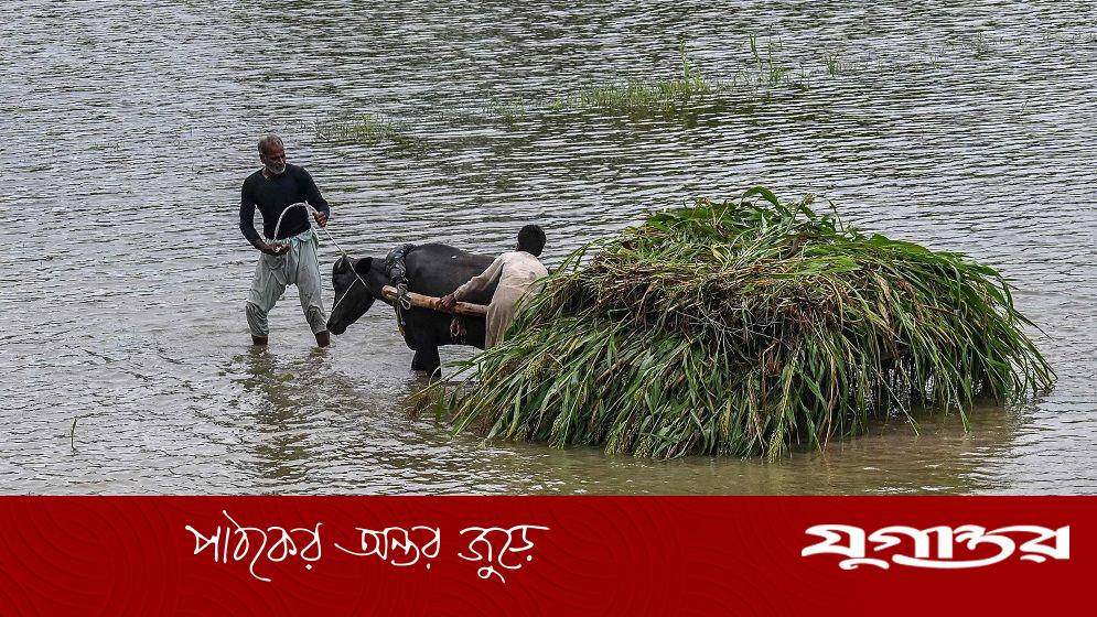 বন্যা মোকাবিলায় পাকিস্তানের পাঞ্জাবে সেনা মোতায়েন