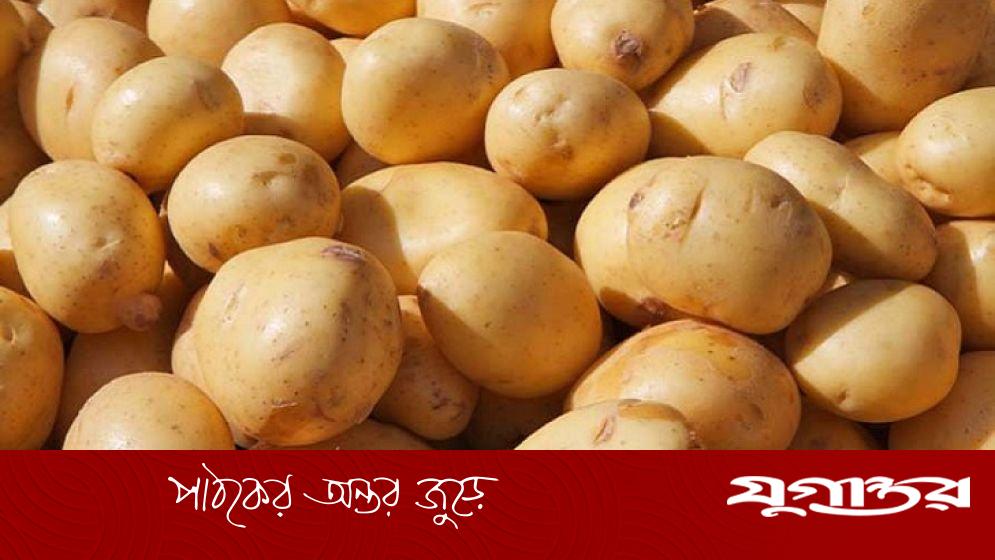 আলুর ন্যূনতম দাম ২২ টাকা, সরকার কিনবে ৫০ হাজার মেট্রিক টন