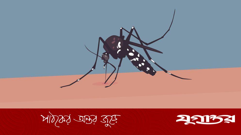 ডেঙ্গুজ্বরে আক্রান্ত হয়ে হাসপাতালে আরও ৪ শতাধিক রোগী
