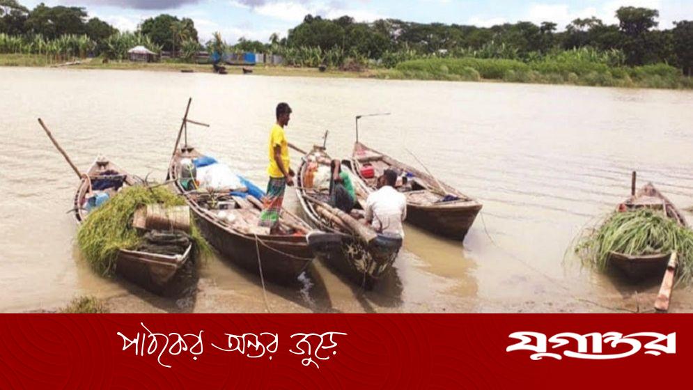 ভরা মৌসুমেও শরীয়তপুরে দেখা মিলছে না ইলিশের