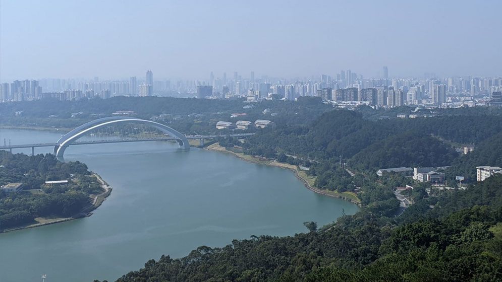 মাও ও চড়ুইয়ের মিথে অঙ্কুরিত চীন