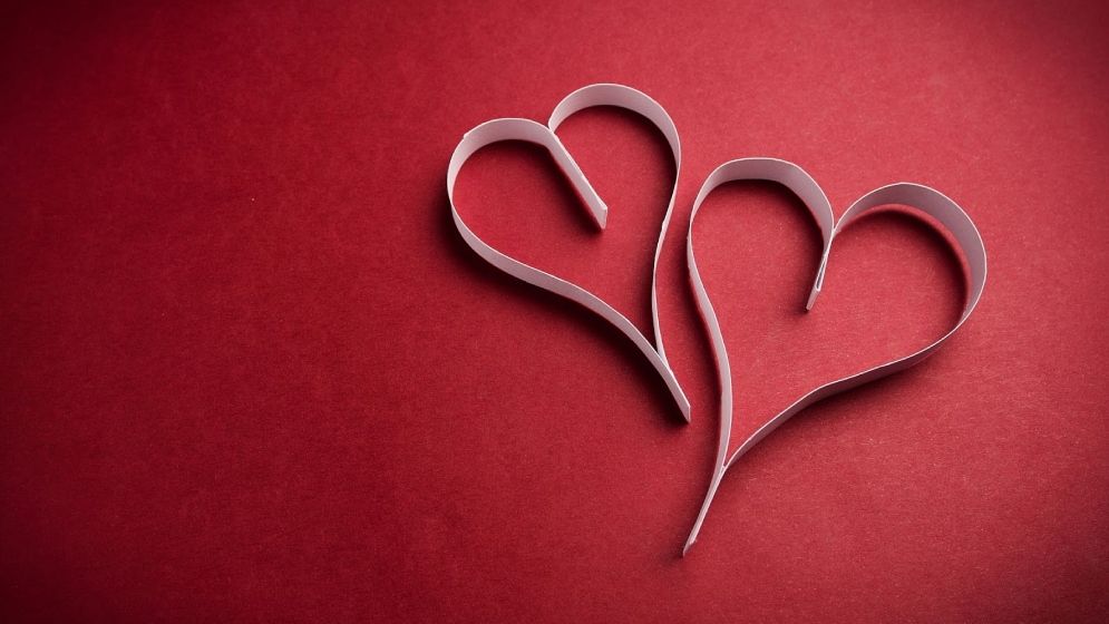 প্রতিদিন নতুন ভালোবাসা