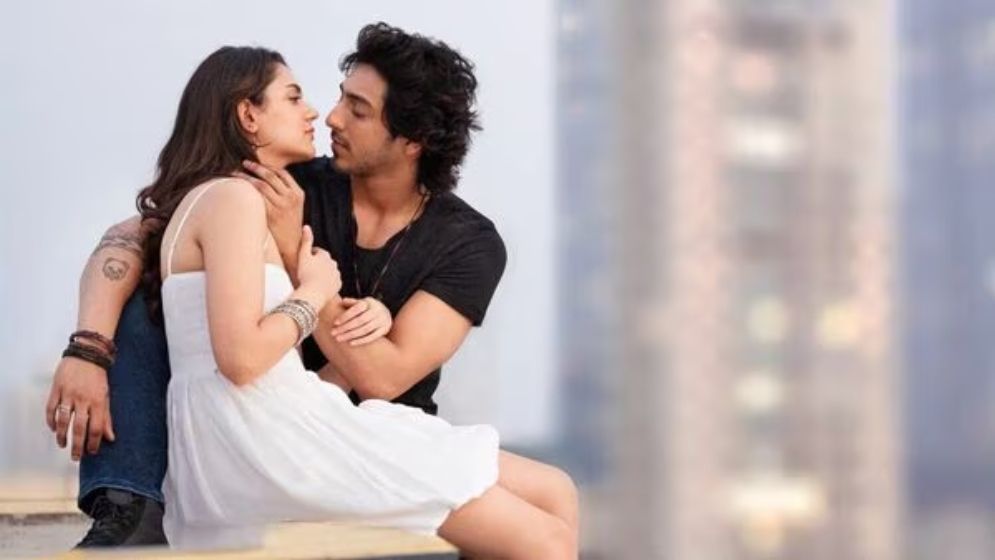 সুলতান, পদ্মাবতকে ছাড়িয়েছে সাইয়ারা