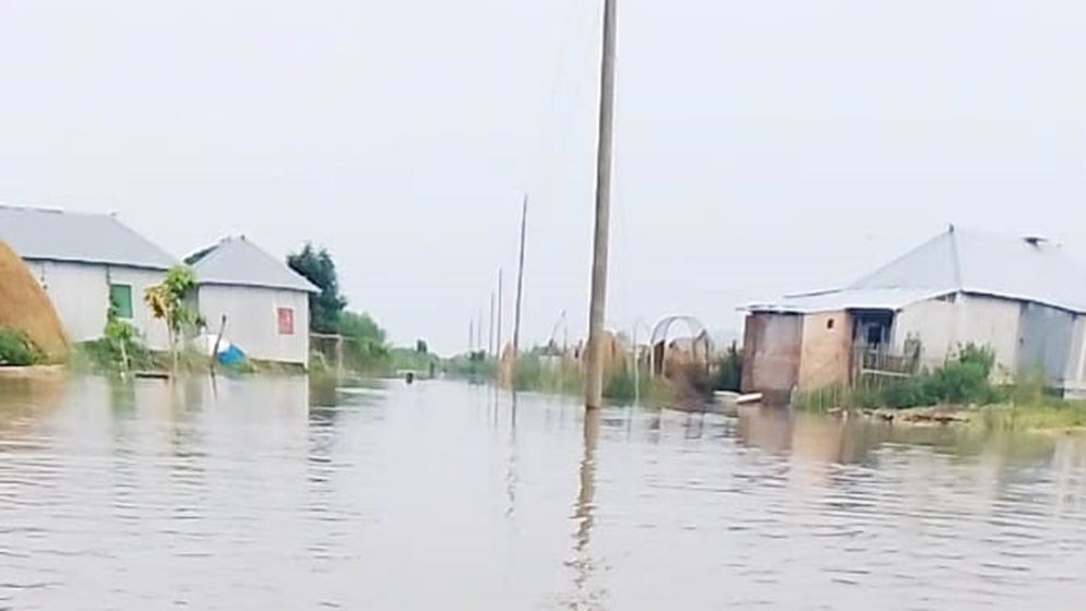 ফের বেড়েছে পদ্মার পানি, বিপাকে ১৫ চরের মানুষ