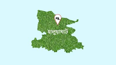 হালুয়াঘাটে ভারত থেকে ৫ অনুপ্রবেশকারী আটক